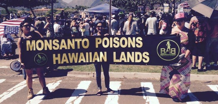 Huge Anti-GMO Rallies Popping Up in Hawaii