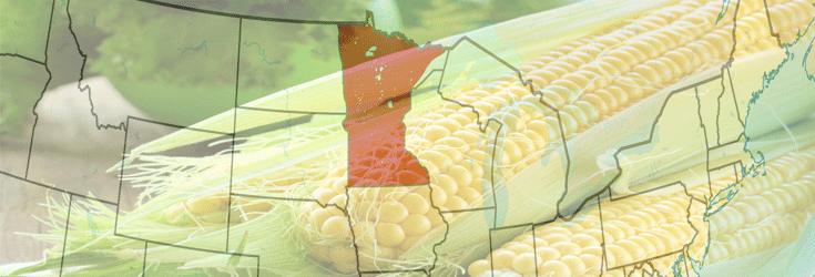 Minnesota’s New GMO Labeling Bill Could Change Everything For Monsanto