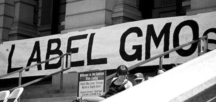 New Bill Would Give Monsanto Immunity and Squash GMO Labeling