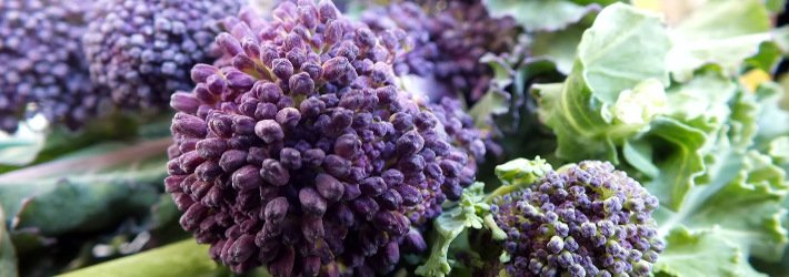 broccoli_purple_veggie_710_250