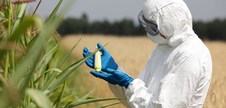 Column in Medical Journal Says Hazards of GMOs, Pesticides Not Properly Studied
