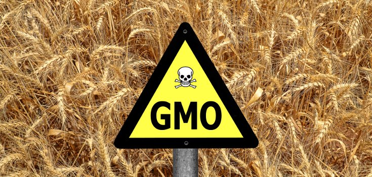 Scientists Warn “Supercharged” GMOs Could be Used as Bio-weapons