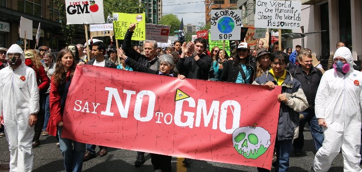 Breaking News: New York Moves Forward with GMO Labeling Bills