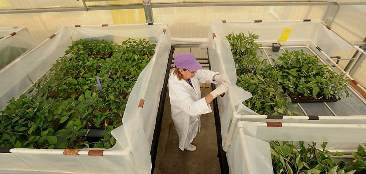 Monsanto Asks World Health Organization to ‘Retract’ Cancer Link