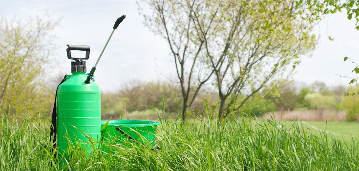This Community may be the First to Have Pesticide-Free Lawns