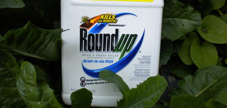 17 Scientists Speak Out: Monsanto’s Roundup is Causing Cancer