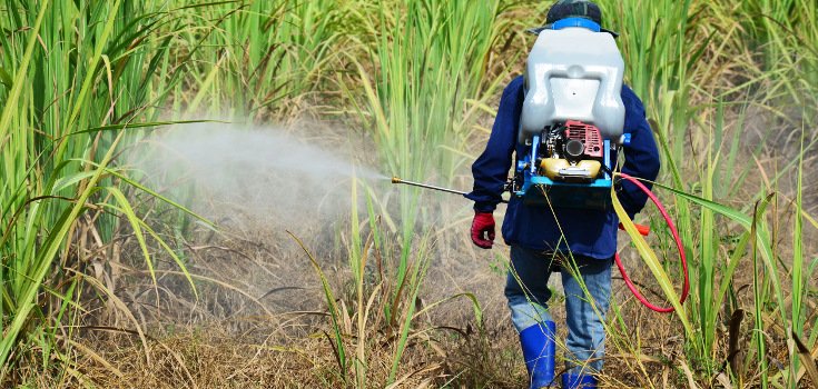 Newly Released: Study Confirms Chronic Kidney Failure 5 Times Higher in Glyphosate-Ridden Areas