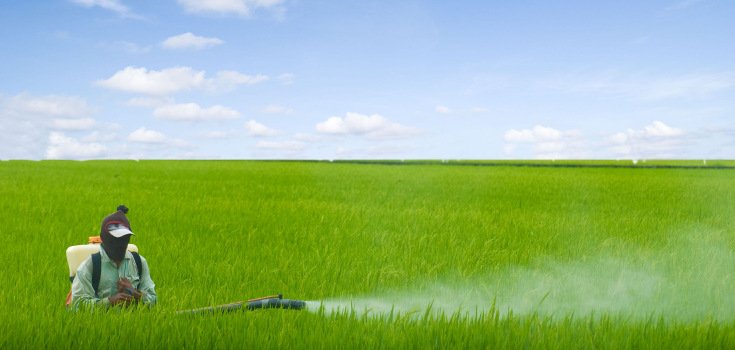 New Study: Monsanto’s Herbicides are Breeding Super Bugs