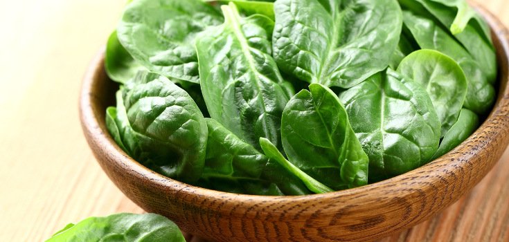 4 Important Tips for Growing Your Own Superfoods