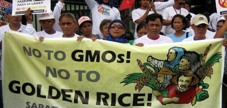 Farmers of the Philippines Say ‘No Way’ to GMO Rice