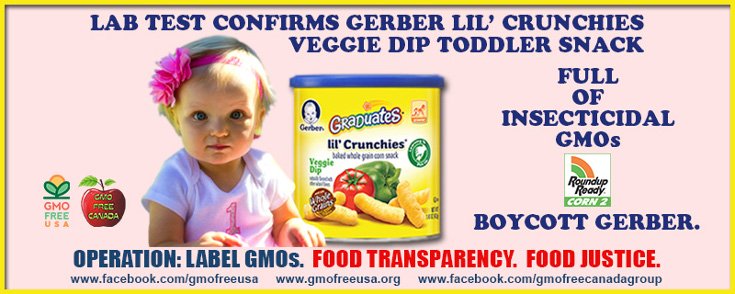 Report Finds Gerber Baby Food Filled with GMOs