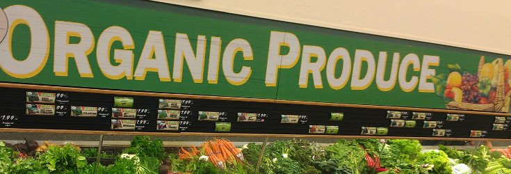 Booming Organics: U.S. Farmers Forced to Import Organic Crops to Meet Non-GMO Demand