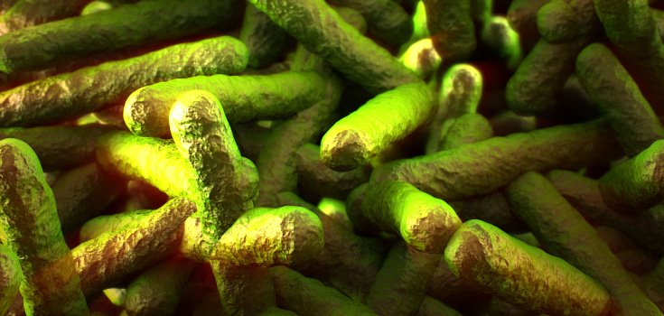 Listeria on the Rise: How to Fight Bad Bacteria in Your Food