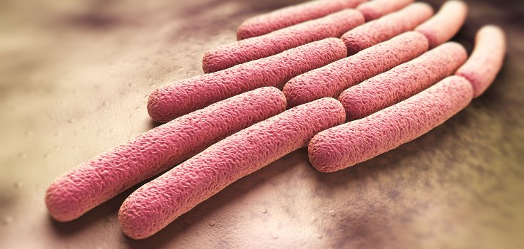Report: New Drug-Resistant Bacteria Brought into the US