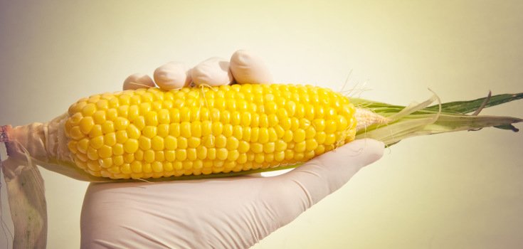 Brazil Approves more Herbicide-Resistant Corn, Soy, & GM Trees