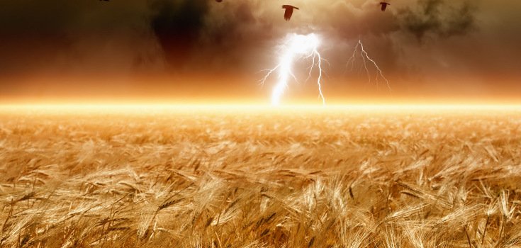 Report: 3 Reasons Why GMOs Won’t Feed the World