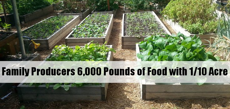 Photos: How to Produce 6,000 Pounds of Food in Small Spaces