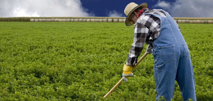 EPA Placing Blame on Farmers for Monsanto’s Cancer-Causing GMO Crops