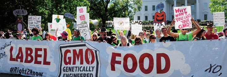 Top 3 States That May Be Next to Require GMO Labeling