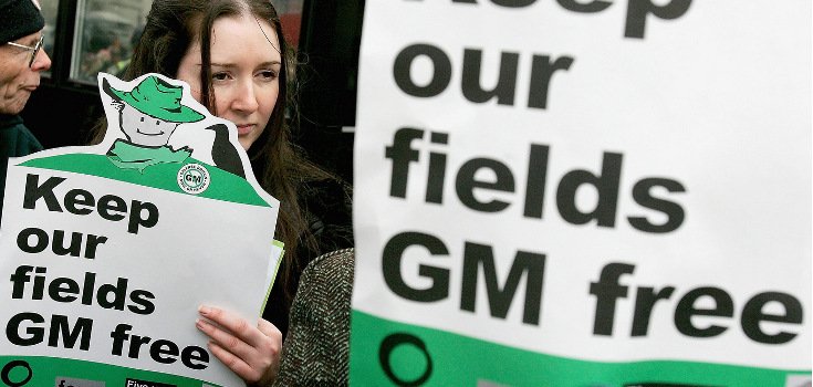 This GMO Debate Shows How GMOs are Failing