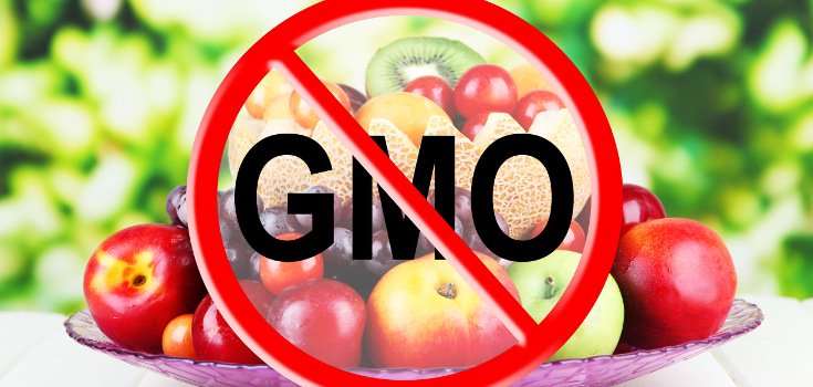 26 Organizations that Support GMO Labeling