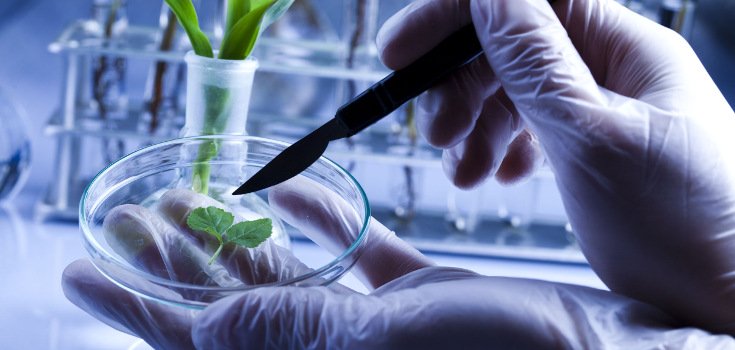 Lab Sees 3400% Increase in Testing Food for Monsanto’s Toxic Glyphosate