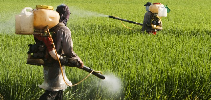 30,000 Doctors in Argentina Demand that Glyphosate be Banned
