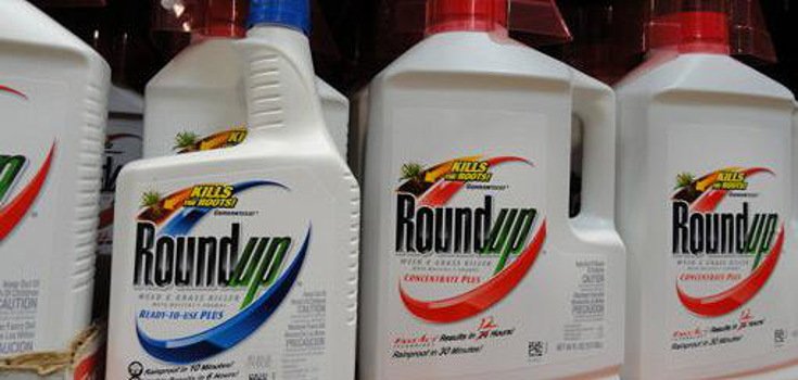 Victory: German Retail Giant Removes Glyphosate from 350 Stores