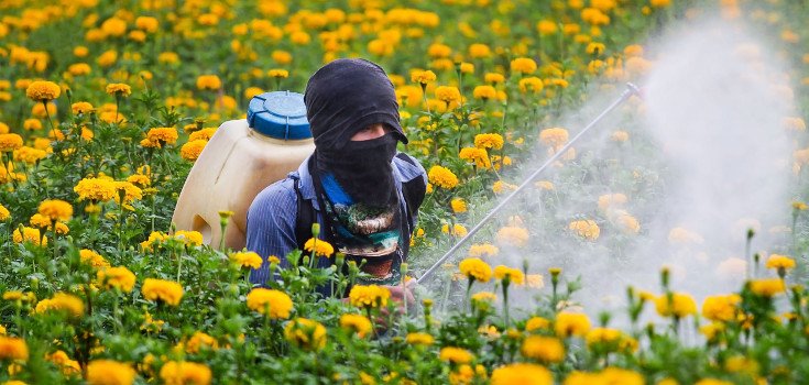 After Cancer Link Confirmed, EPA Still Doubles Herbicide Use