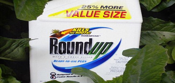 Were USDA Scientists Harassed for Questioning Roundup’s Safety?