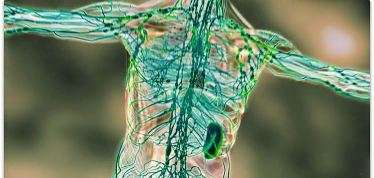 The #1 Best Way to Cleanse the Lymphatic System