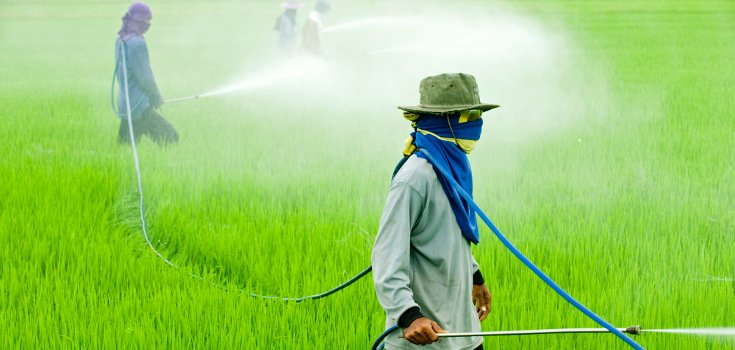 These ‘Big 6’ Chemical Companies Now Make 50,000 Different Pesticides