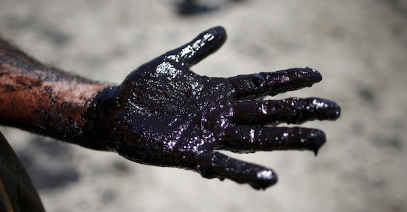 Photos: California Oil Spill Volunteers Appear Clueless About Petroleum Poisoning