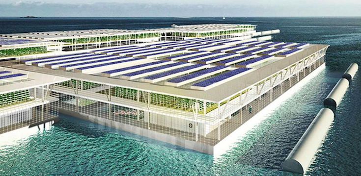 Here’s What Happens When Floating Farms Meet Solar Power