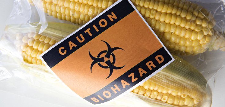 Leading Geneticist: ‘Health Damaging Effects’ of GMOs Unpredictable