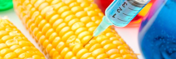 EU Committee Wants to Demolish Existing Law Allowing Member States to Ban GMOs