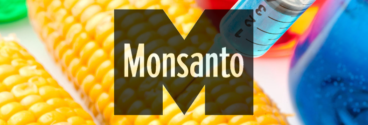 Prediction: New Monsanto-Backed Study to Find GMOs ‘Perfectly Safe’