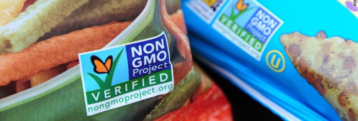 New Study: 43% of Consumers Rank ‘Non-GMO’ Food as ‘Very Important’