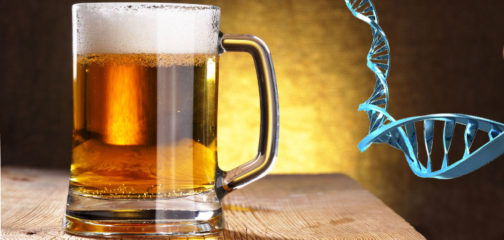 Latest Biotech BS: ‘The First Biotechnology was Beer Making’