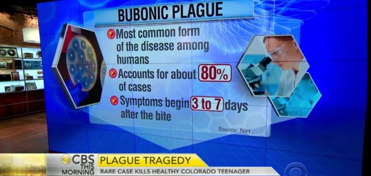 The Plague Comes Back from the Dead in Colorado