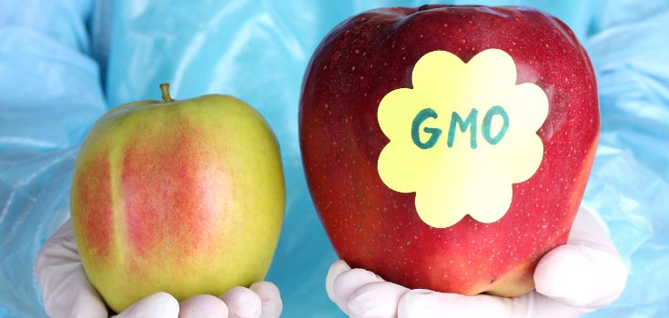 The Truth Behind The USDA’s ‘Non-GMO Label’ Revealed