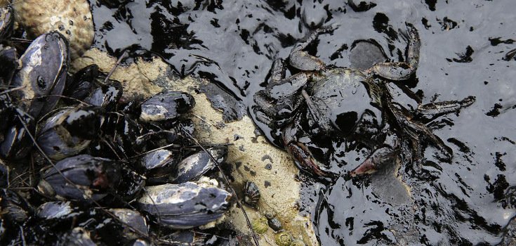 Shocking Photos: California’s 101,000 Gallon Oil Spill Hits Pacific Ocean