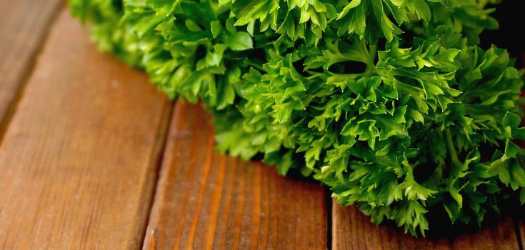 Compound in Parsley Among ‘Most Potent Anti-Cancer Compounds’