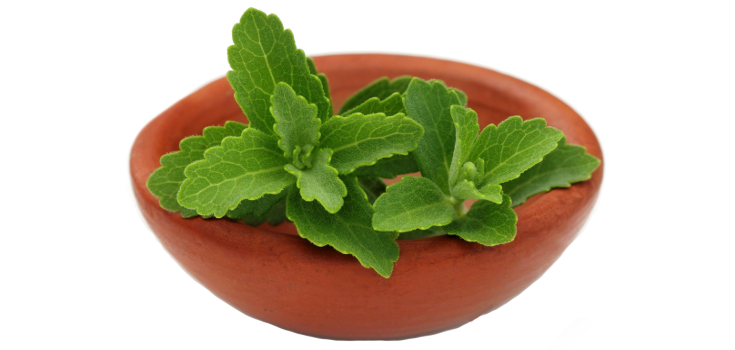 STEVIA: The Ultra-Sweet Sugar Substitute that Isn’t Always Natural