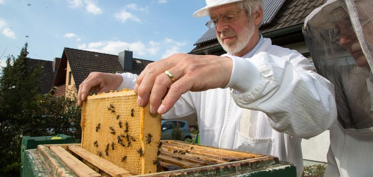 Why 100,000 German Bee Keepers Want to Ban GMOs