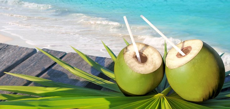 Cactus Water Versus Coconut Water: What You Need to Know