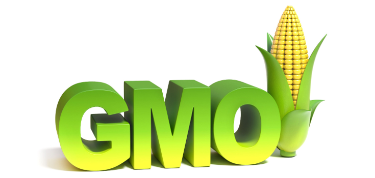 Survey: 68% of Doctors Think GMOs Should be Labeled