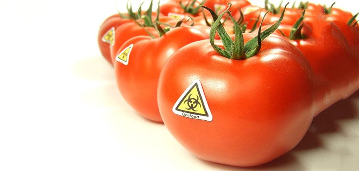 64 Nations Say No to GMO, Yet US Govt Nears Illegal GMO Labeling