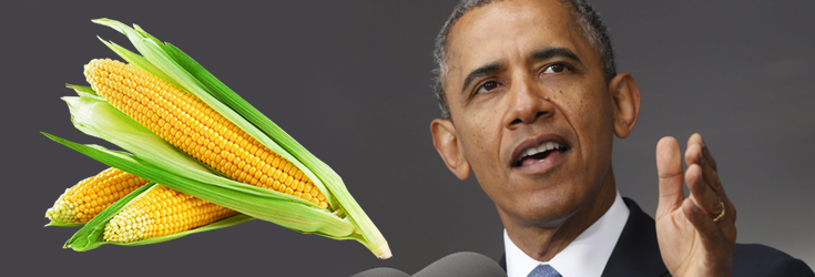 Obama Signs Monsanto Protection Act Into Law After Promising GMO Labeling in 2007
