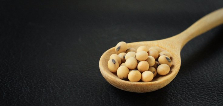 New Study: GMO Soy Accumulates Cancerous Formaldehyde